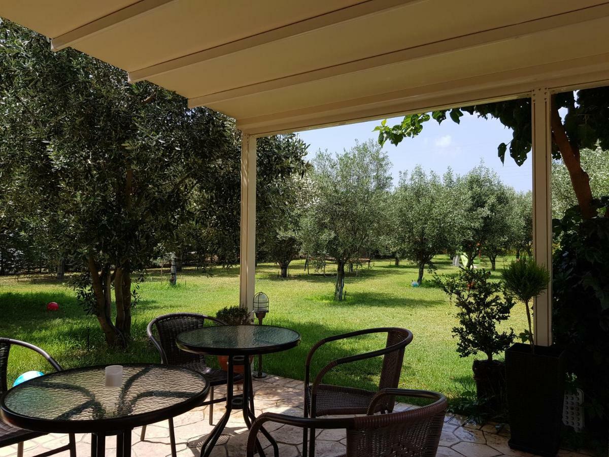 Gaia Studios & Apartments Νέα Πλάγια Εξωτερικό φωτογραφία